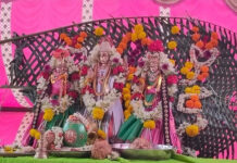 పుంగునూరు నియోజకవర్గం:అంగరంగ వైభవంగా ఆడికృతిక మహోత్సవం|