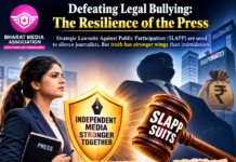 Defeating Legal Bullying: The Resilience of the Press|