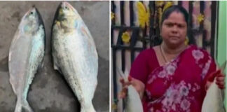 యానాం రేవులో పులస సందడి.. వేలంలో రికార్డు ధర.|