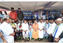 డీఎస్సీ అక్రమాలపై మంత్రి లోకేష్ రాజీనామా చేయాలి: పెద్దిరెడ్డి|