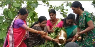 వర్షాలు కురవాలని బొడ్రాయికి ప్రత్యేక పూజలు|