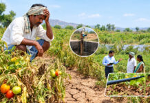 నీటి కొరతతో ఎండుతున్న పంటలు ఆందోళనలో రైతులు