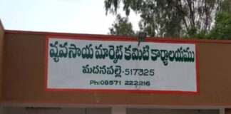 Madanapalle: మదనపల్లె మార్కెట్లో టమాటా ధరలు విడుదల. 10 కిలోల మొదటి రకం గరిష్ఠ ధర రూ.200, రెండో రకం రూ.150. మొత్తం 97 మెట్రిక్ టన్నుల టమాటా రాక నమోదు.