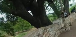 ఉదయగిరి ఆనకట్ట గోడలకు పగుళ్లు: మరమ్మతులకు విజ్ఞప్తి|