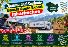 Jammu and Kashmir Boosts Apple Export Infrastructure|