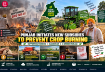 Punjab Initiates New Subsidies to Prevent Crop Burning|