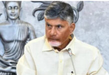 మంత్రుల ఫొటోలు లేకపోవడం సరికాదు: చంద్రబాబు |