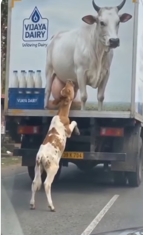 ba_e2857b6e4b24a37755871e9ab0449441.png