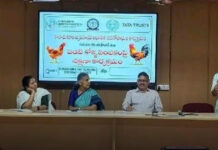 ఆసిఫాబాద్ మహిళలకు పెరటి కోళ్ల పెంపకంలో శిక్షణ పూర్తి. స్వయం ఉపాధి దిశగా అడుగులు