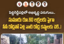 పెద్దిరెడ్డిపల్లి పంచాయతీలో రూ.60 లక్షలకు పైగా సీసీ రోడ్లు.. డ్రైనేజీ నిర్మాణంతో మారిన గ్రామ రూపురేఖలు..!