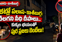 చీకట్లో పలాస-కాశీబుగ్గ: వెలగని వీధి దీపాలు.. కుక్కల భయంతో పుర ప్రజలు బెంబేలు!