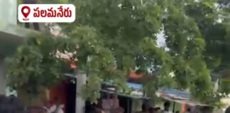 పలమనేరు నియోజకవర్గం వి.కోట మండలంలో వైయస్ఆర్ సీపీ జెడ్పీటీసీ అభ్యర్థి జీవీ ప్రకాష్ పై దాడి
