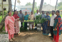 రోలుగుంటలో ప్రతి సోమవారం వినియోగదారులకు అందుబాటులో సహజ పంటలు