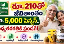 ఇక పండగే..కేవలం రూ.210తో రూ.5,000 జీవితాంతం పెన్షన్ ఇచ్చే కేంద్ర ప్రభుత్వ పథకం ఇదే!