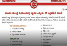 జనసేన సమన్వయ కమిటీ ఏర్పాటు…. తెనాలి
