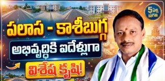 పలాస–కాశీబుగ్గ అభివృద్ధికి ఐదేళ్లుగా విశేష కృషి