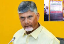అడవితల్లి బాట’పై పవన్కు చంద్రబాబు అభినందనలు.