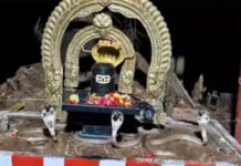 నెల్లూరు జిల్లాలో అద్భుత సన్నివేశం.. శివలింగం చుట్టూ మూడు నాగుపాముల ప్రదక్షిణ.