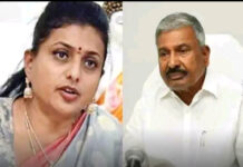 రోజా, పెద్దిరెడ్డికి ఎదురుదెబ్బ..!
